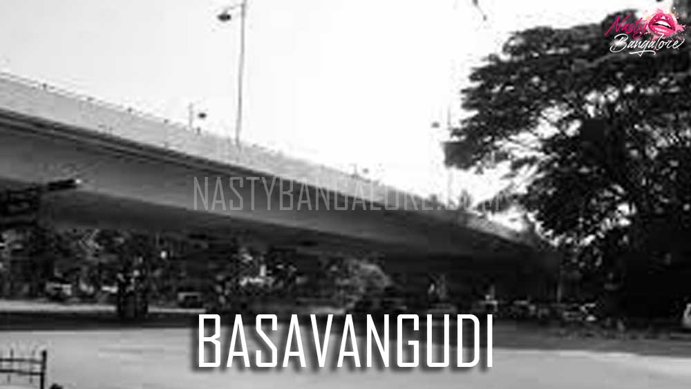 call girls in Basavangudi